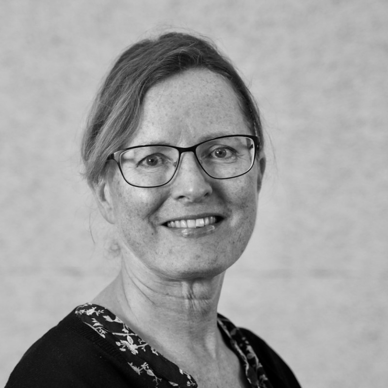 Kari Birgitte M. Wiig
